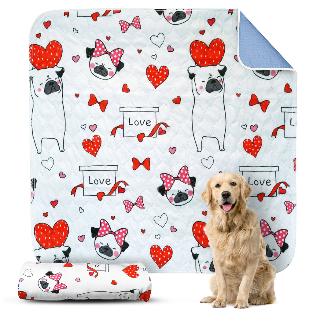 Puppy Love Puppy Pad - Dry Paws