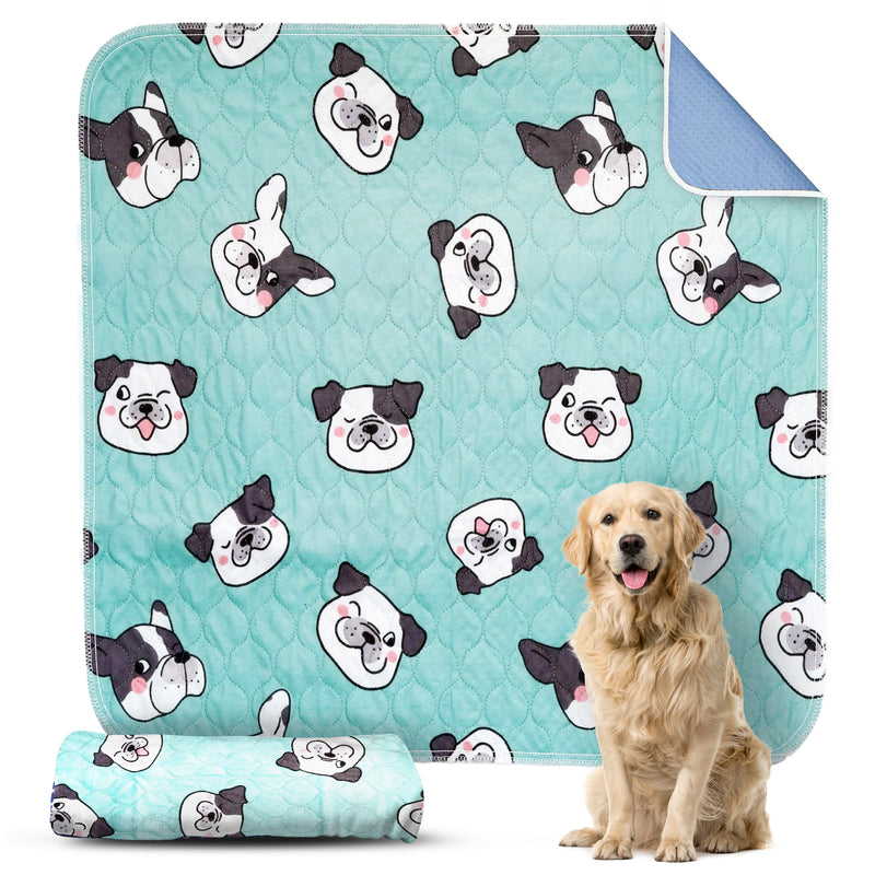 Bulldog Puppy Pad - Dry Paws