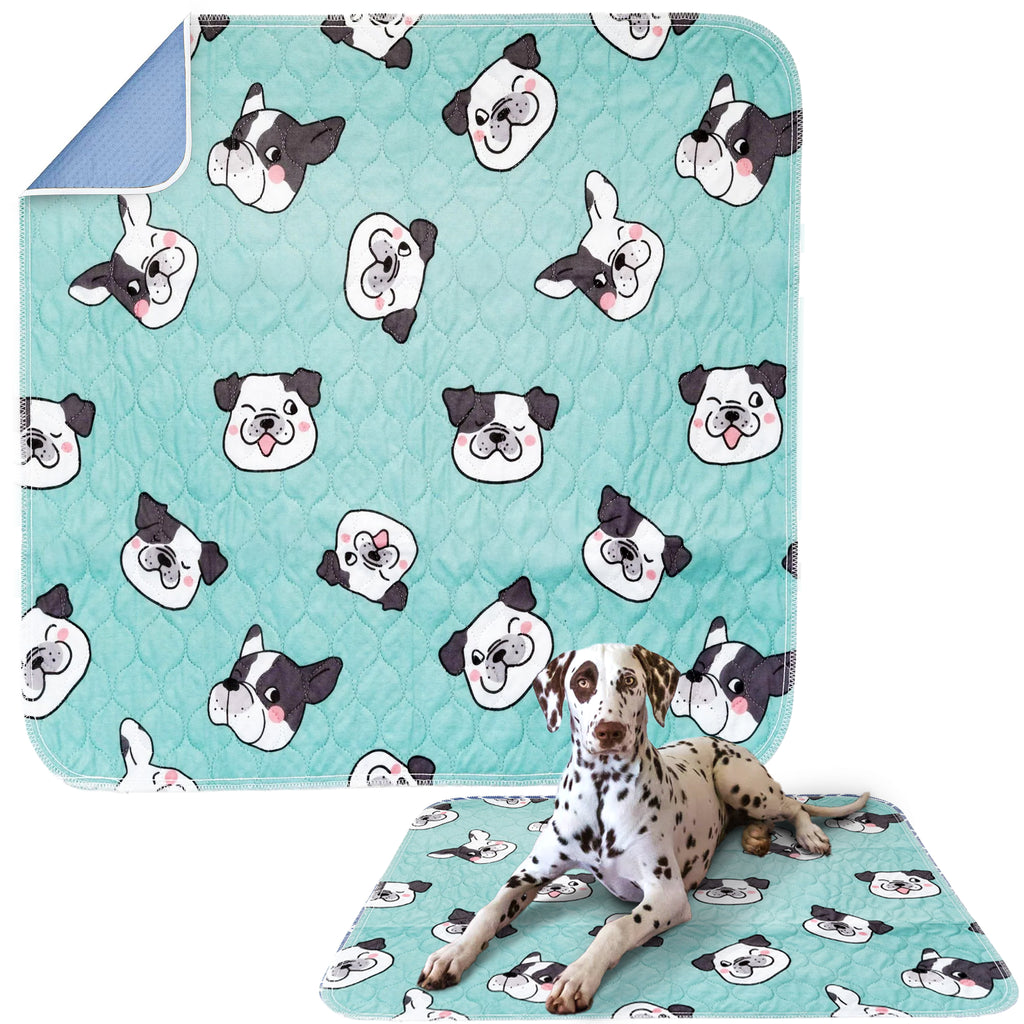 Bulldog Puppy Pad - Dry Paws