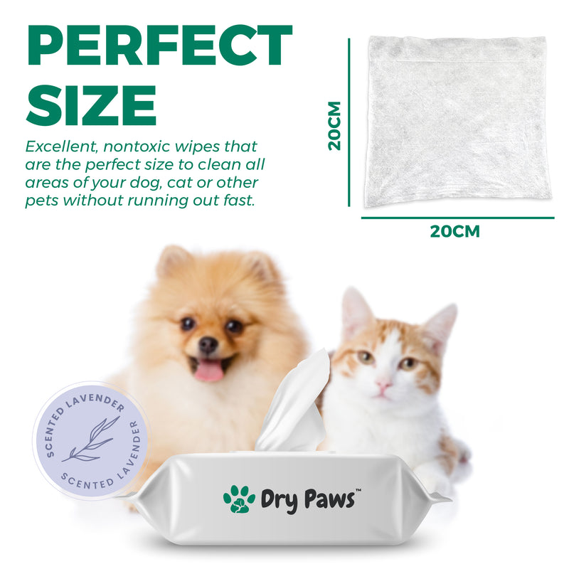 Extra Large Compostable Pet Wipes - 100 Pack (20cm x 20cm) - Dry Paws